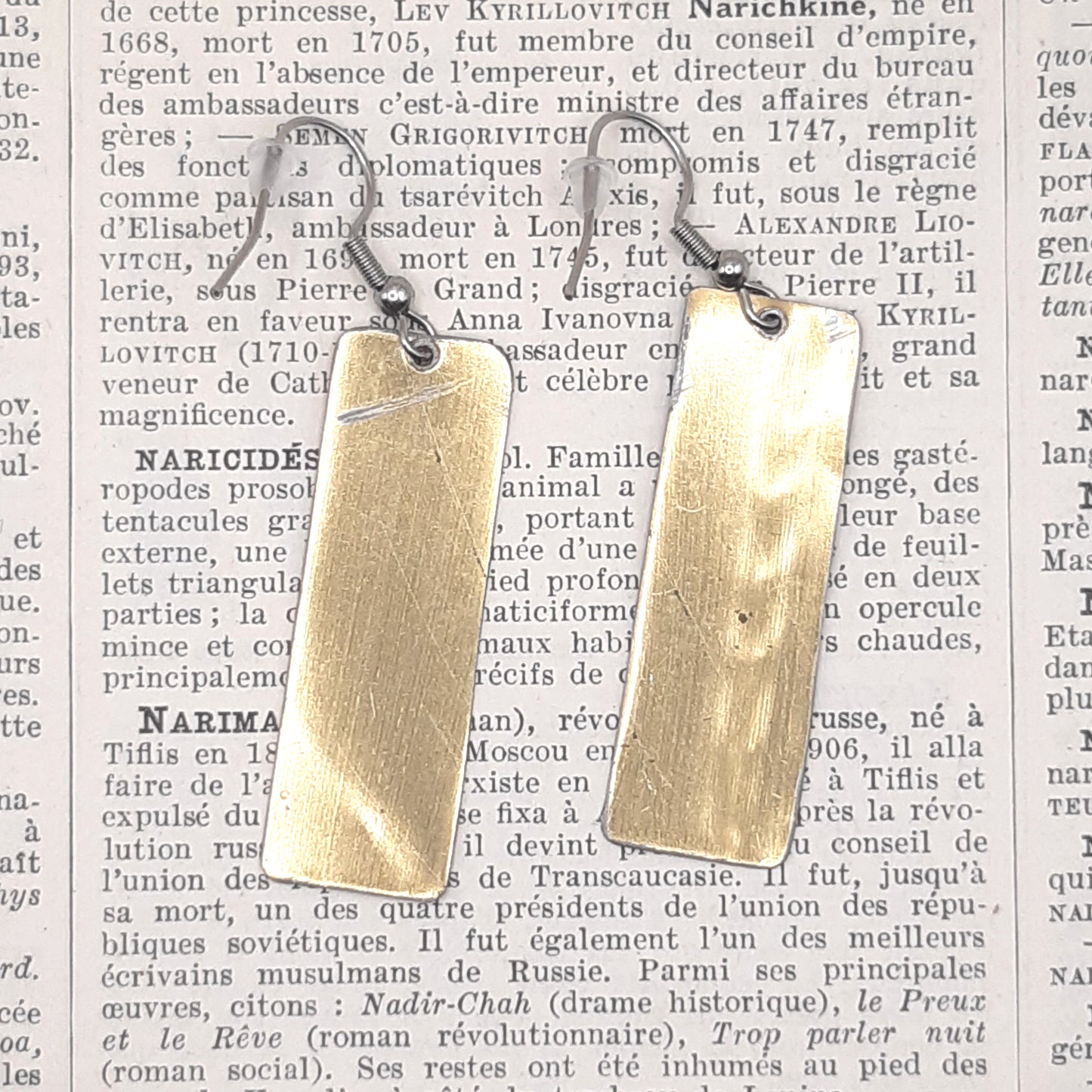 Boucles d'Oreilles Boite à Biscuits