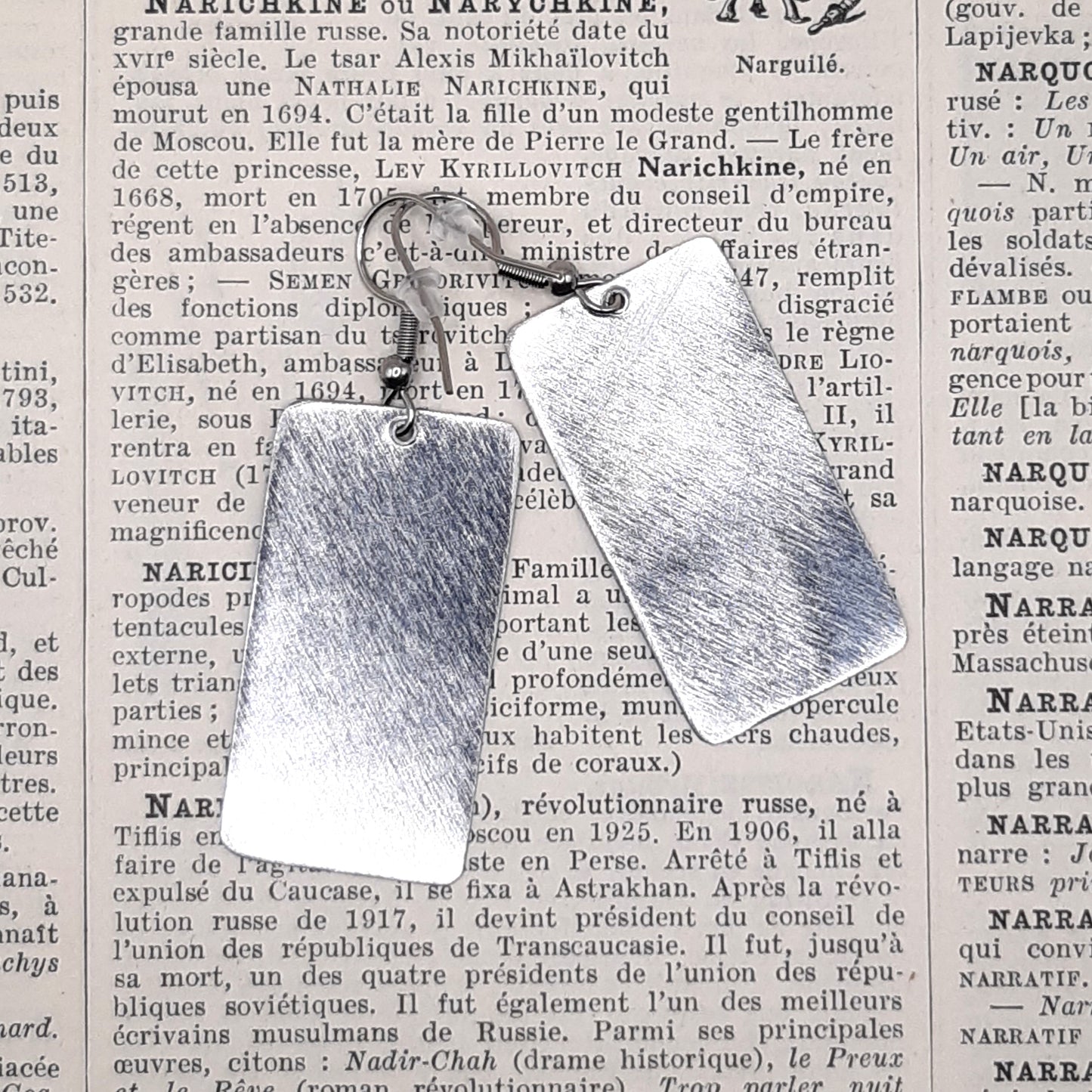 Boucles d'Oreilles Boite à Biscuits Papillon